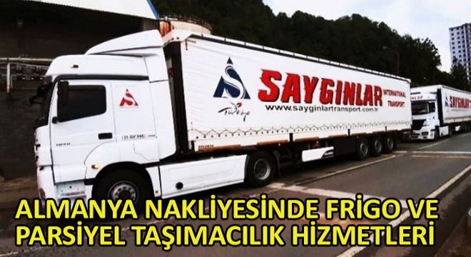 Almanya Nakliyesinde Frigo ve Parsiyel Taşımacılık Hizmetleri