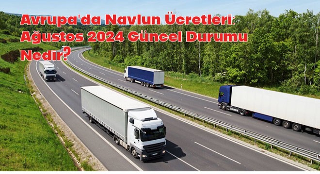 Avrupa’da Navlun Ücretleri: Ağustos 2024 Güncel Durum Nedir?