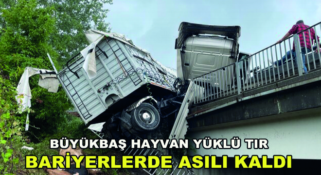 Büyükbaş Hayvan Yüklü TIR Bariyerlerde Asılı Kaldı