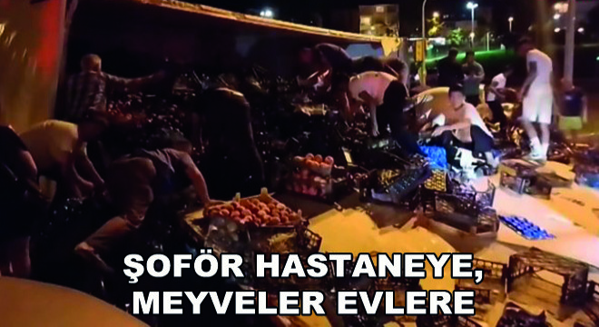 Şoför Hastaneye, Meyveler Evlere